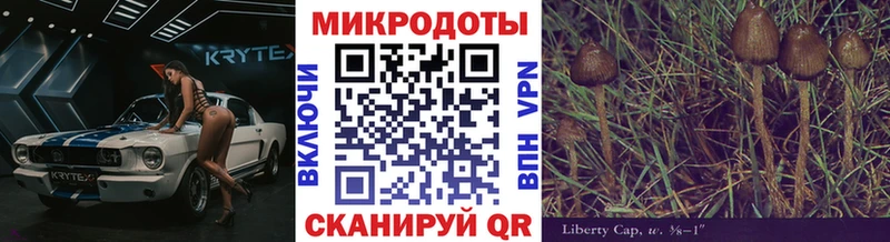 Псилоцибиновые грибы ЛСД  kraken зеркало  Сольцы 